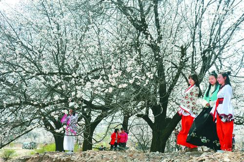 足球指数捷报网实时数据面板